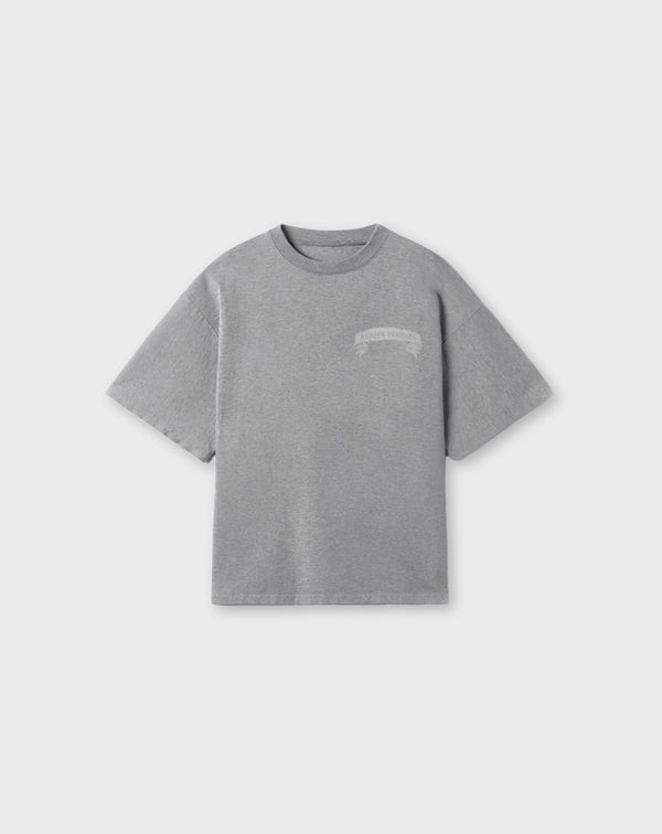 EMBROIDERED LOGO TEE IN GRAY MARL